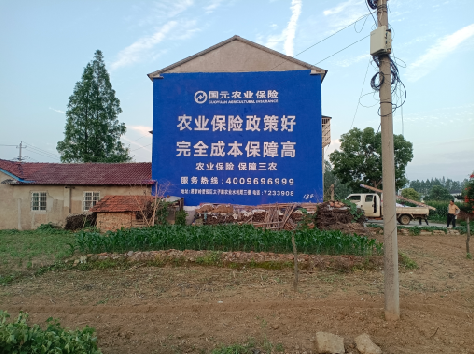 颍上墙体广告为何受追捧？